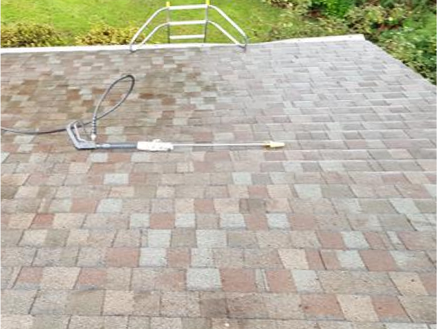 Roof Moss Removal