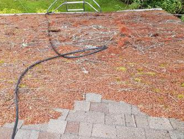 Roof Moss Removal before