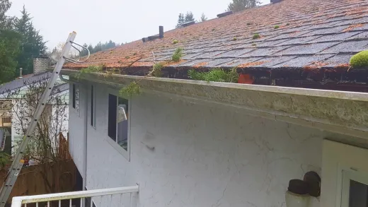 gutter cleaning